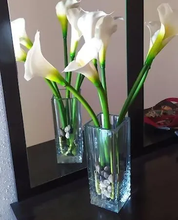 Apartment Casa Chus Foz