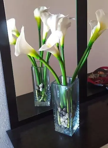 아파트 Casa Chus 포스